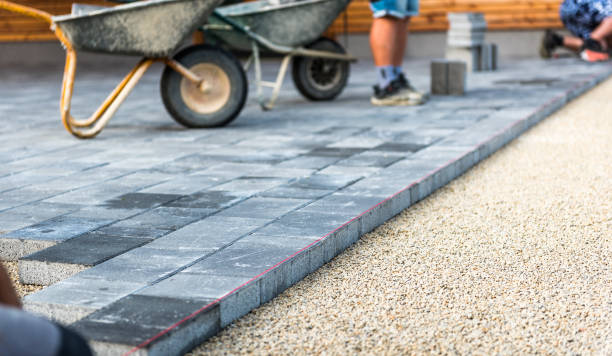 Best Professional Driveway Pavers  in Hector, MN