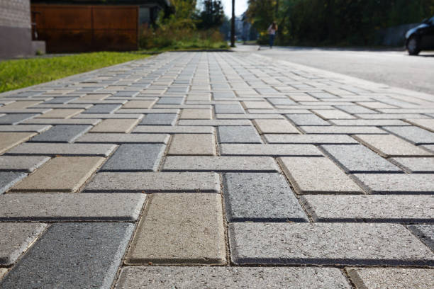 Best Residential Paver Driveway  in Hector, MN