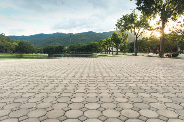 Best Permeable Paver Driveway  in Hector, MN