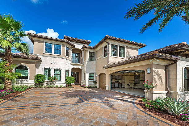 Best Local Driveway Pavers  in Hector, MN