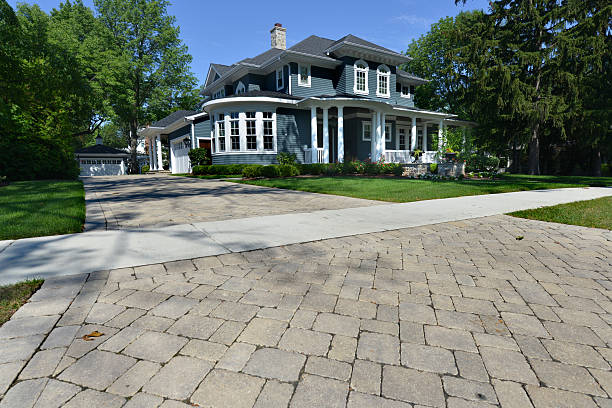Best Custom Driveway Pavers  in Hector, MN